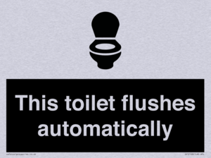 This toilet flushes automatically